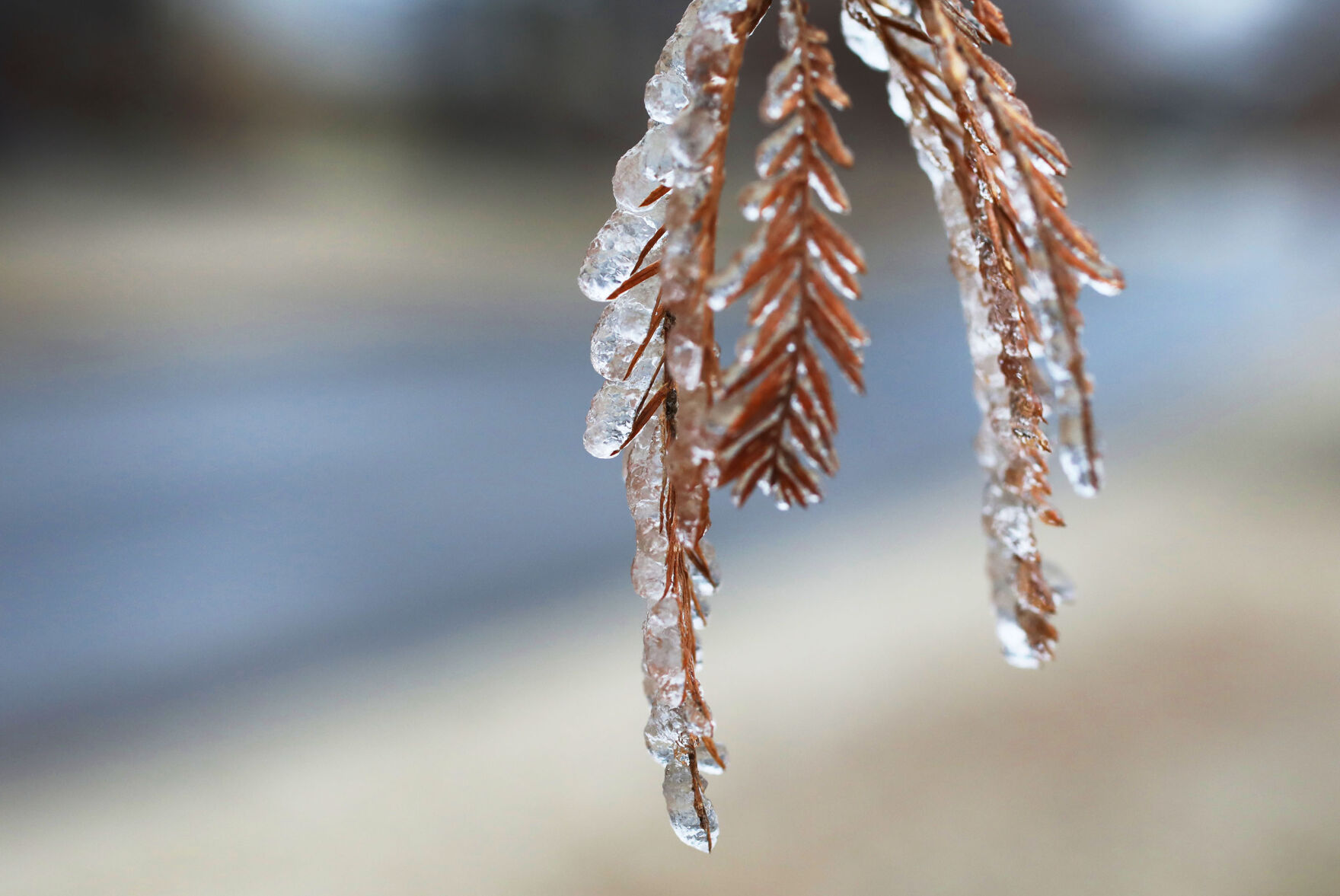 Icy Weather